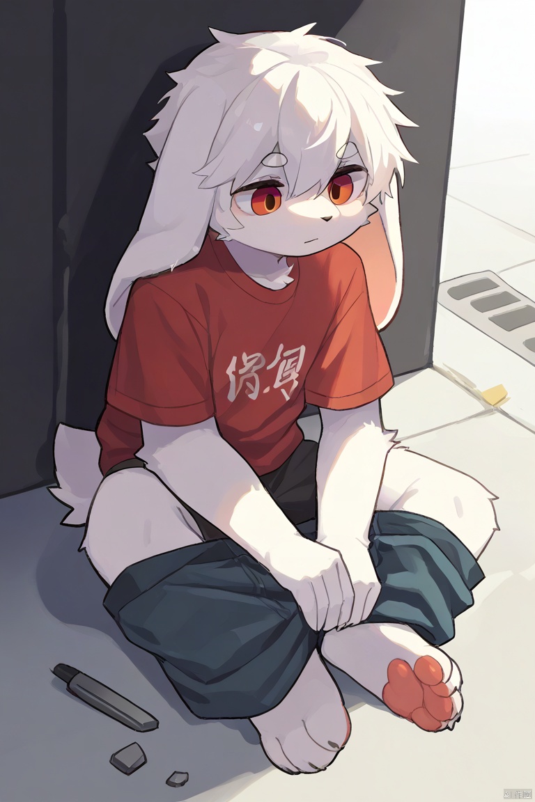 solo,male_focus,furry,kemono,body fur,
vup_bai,(white hair,red eyes),(floppy ears,lop rabbit ears),red t-shirt,
BREAK,
sitting,sitting_down,
(masterpiece,best quality),