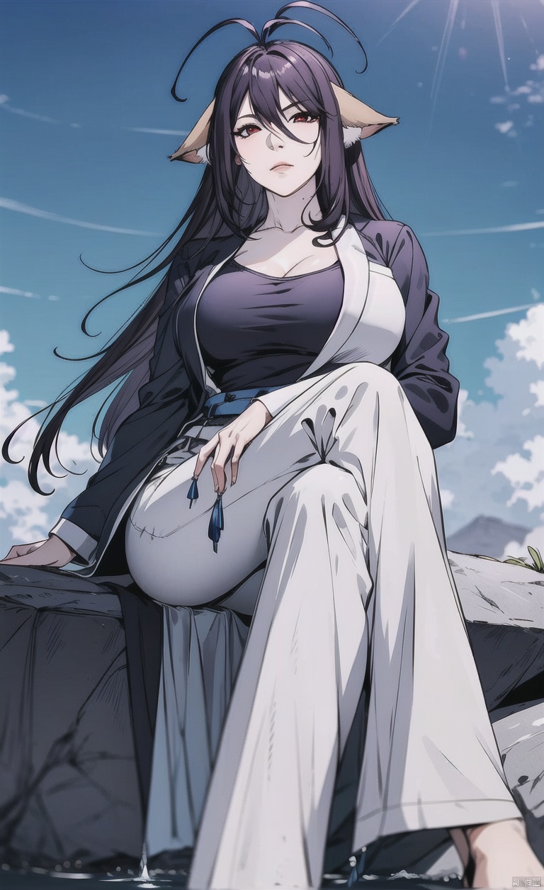 Fox ears, animal ears, ears on the left and right sides of the head,
Purple hair, red eyes, long hair, dull hair, (an antenna hair), hair between the eyes, bangs, simple background, clear background. Blue sky, white clouds, white shirt, black tie, black jacket, black pants,
Sitting on a stone with crossed legs, by the water's edge,