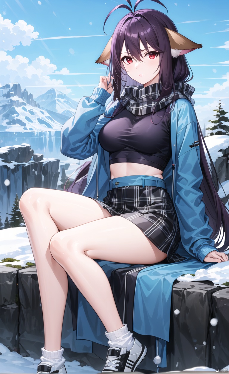 Fox ears, animal ears, ears on the left and right sides of the head,
Purple hair, red eyes, long hair, dull hair, (an antenna hair), hair between the eyes, bangs, simple background, clear background,
Blue sweater, furry clothes, furry top, purple scarf, medium length skirt, plaid skirt, jumpsuit, jumpsuit socks, black jumpsuit socks, sports shoes, shoes, on the mountaintop, overlooking the mountain below, sitting on the mountaintop, snow, snow background,