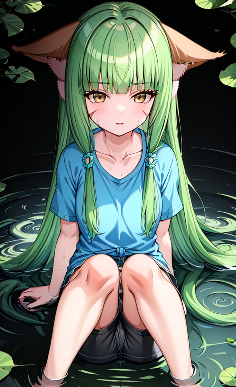 Lying in the middle of the water, lying on my back in the middle of the water, lying on my back in the water, lotus flowers, lotus leaves, ripples of water, my whole body looks like, my whole body, bare feet, bare legs, clothes soaked, T-shirt short sleeved, summer short sleeved, summer shorts, shorts,
A girl with bangs, blunt bangs, neat bangs, green hair, long hair, brown ears, animal ears, fox ears, ears on both sides of the head, ears on both sides of the head,