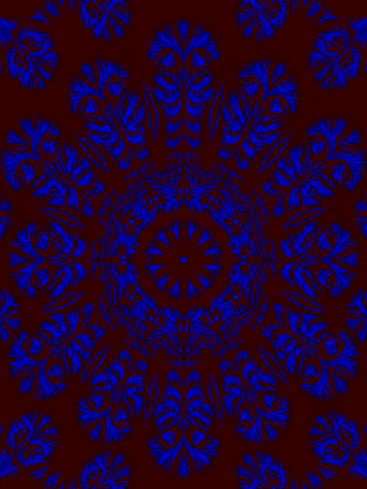 874921277771529948
