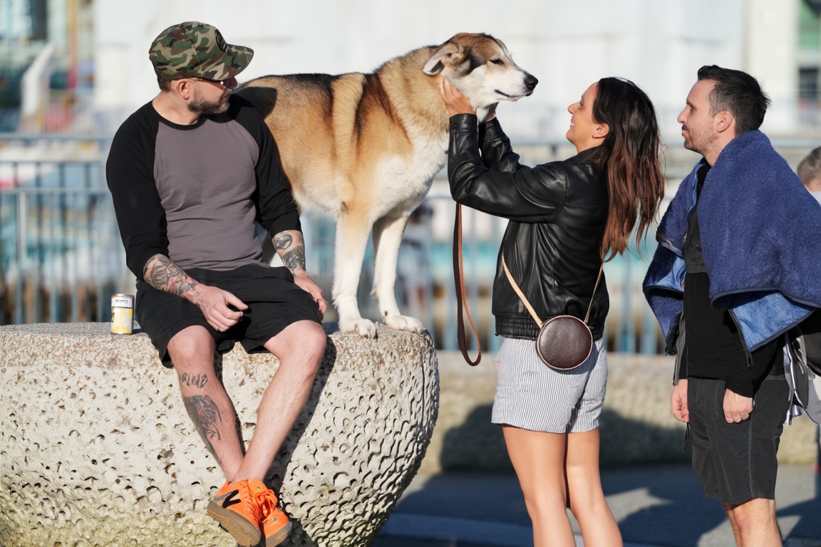 a large,  tan and white dog with a thick coat stands on a textured concrete boulder,  its head gently held by a woman in a...