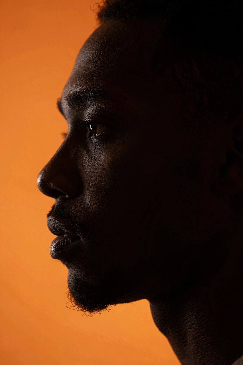 photography,  portrait of contrast,  profile silhouette of a black man on Tensor.Art