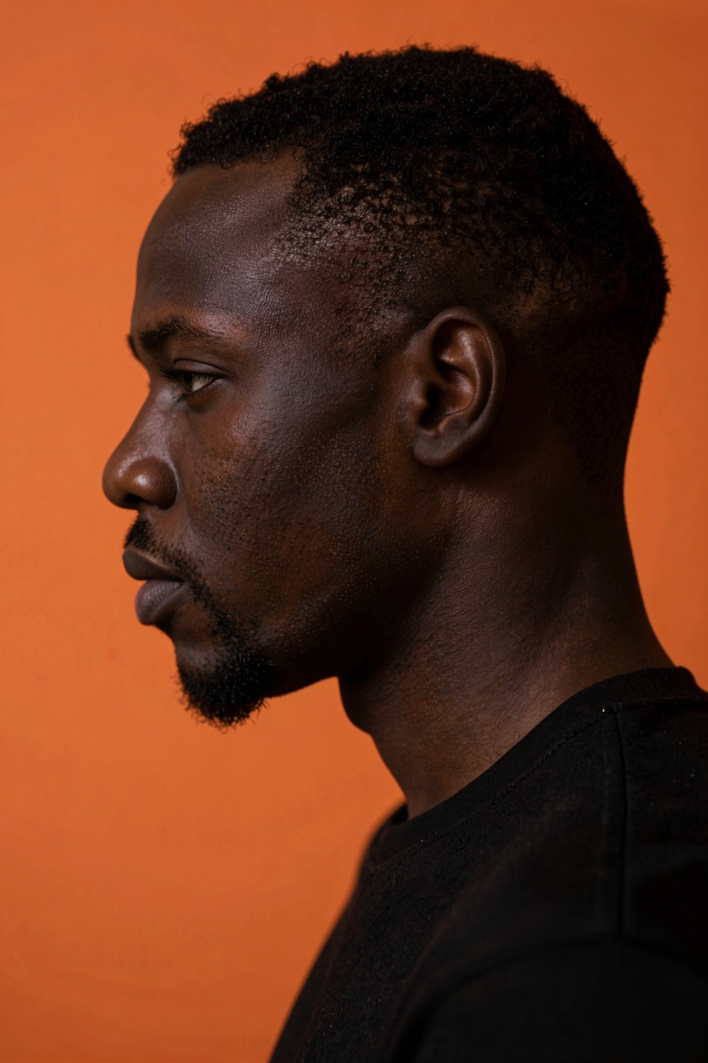 photography,  portrait of contrast,  profile silhouette of a black man on Tensor.Art