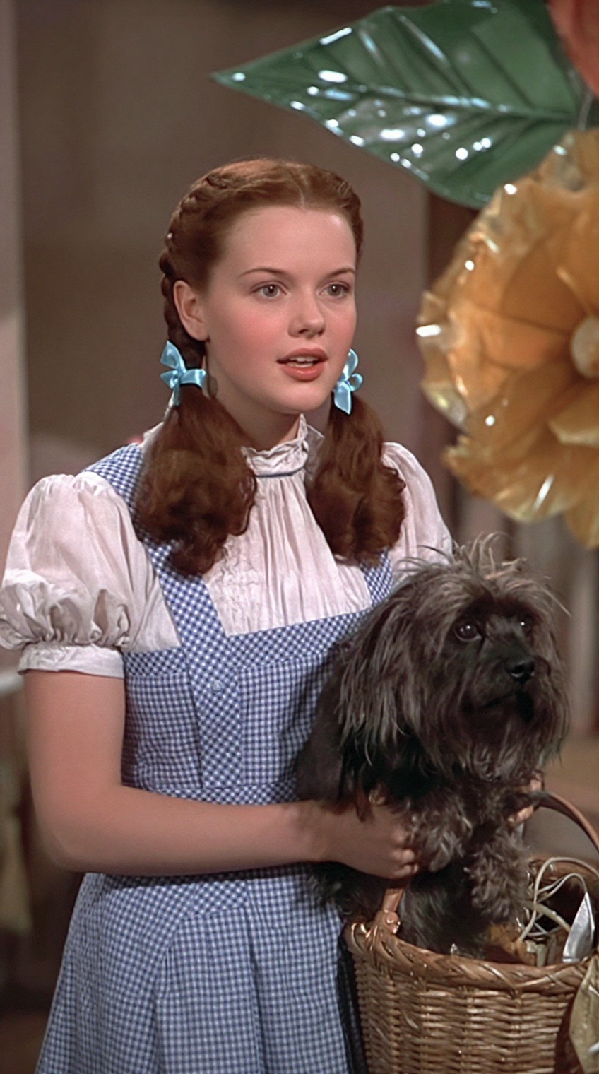 A young woman with auburn hair styled in two braided pigtails tied with light blue ribbons wears a white blouse under a bl...