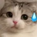 小x