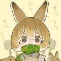 琼 avatar on Tensor.Art