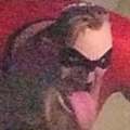Mrincredible