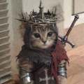 Ser Patrik Snow the Bastard ❄️