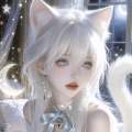 Aily