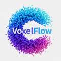 VoxelFlow