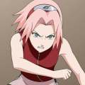 sakura