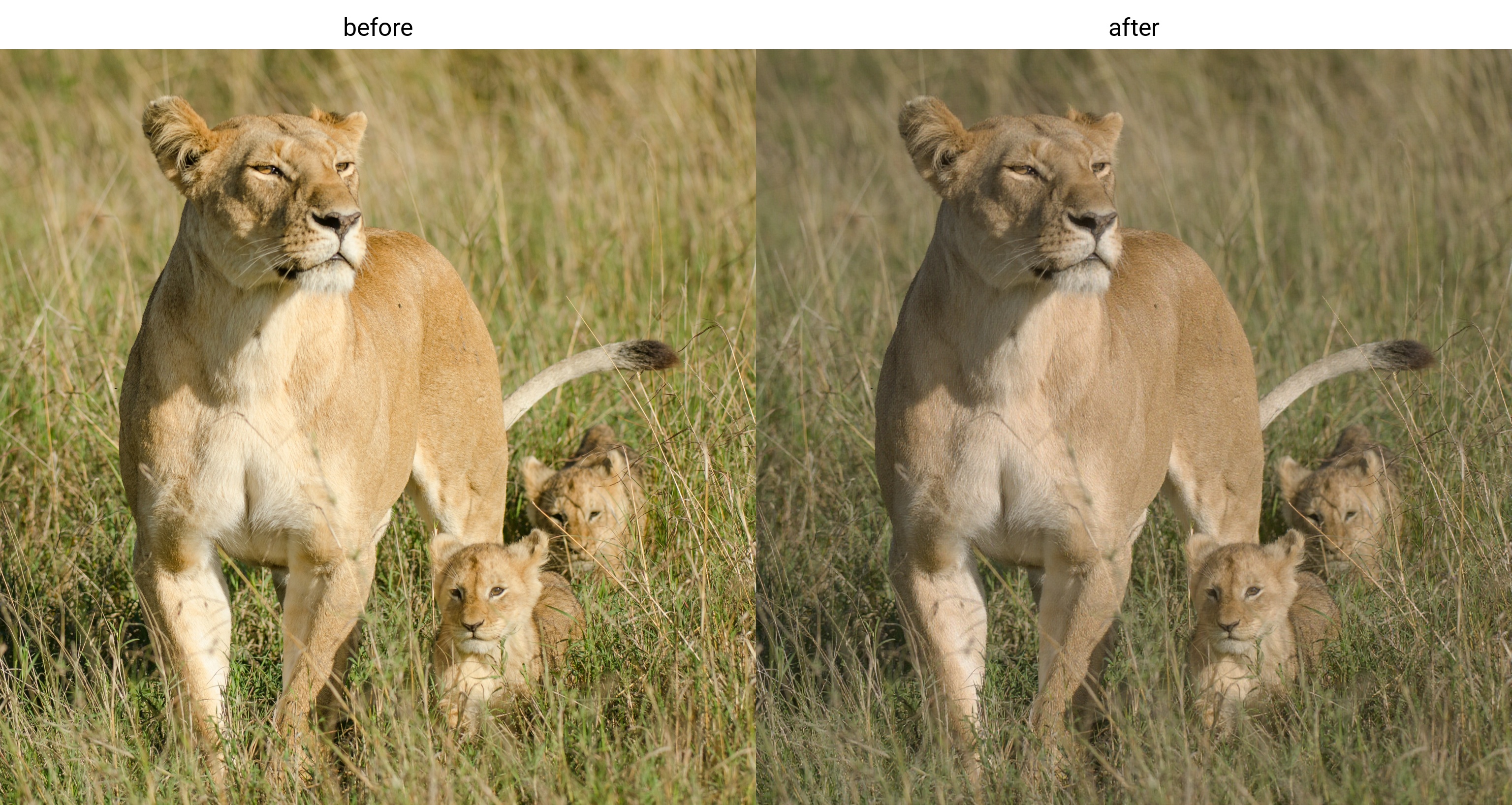AI generated image on Tensor.Art
