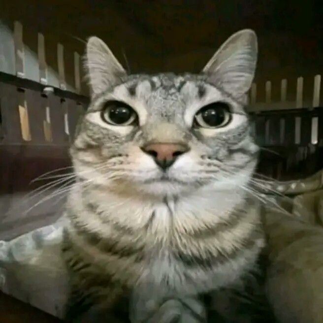 AI generated image on Tensor.Art