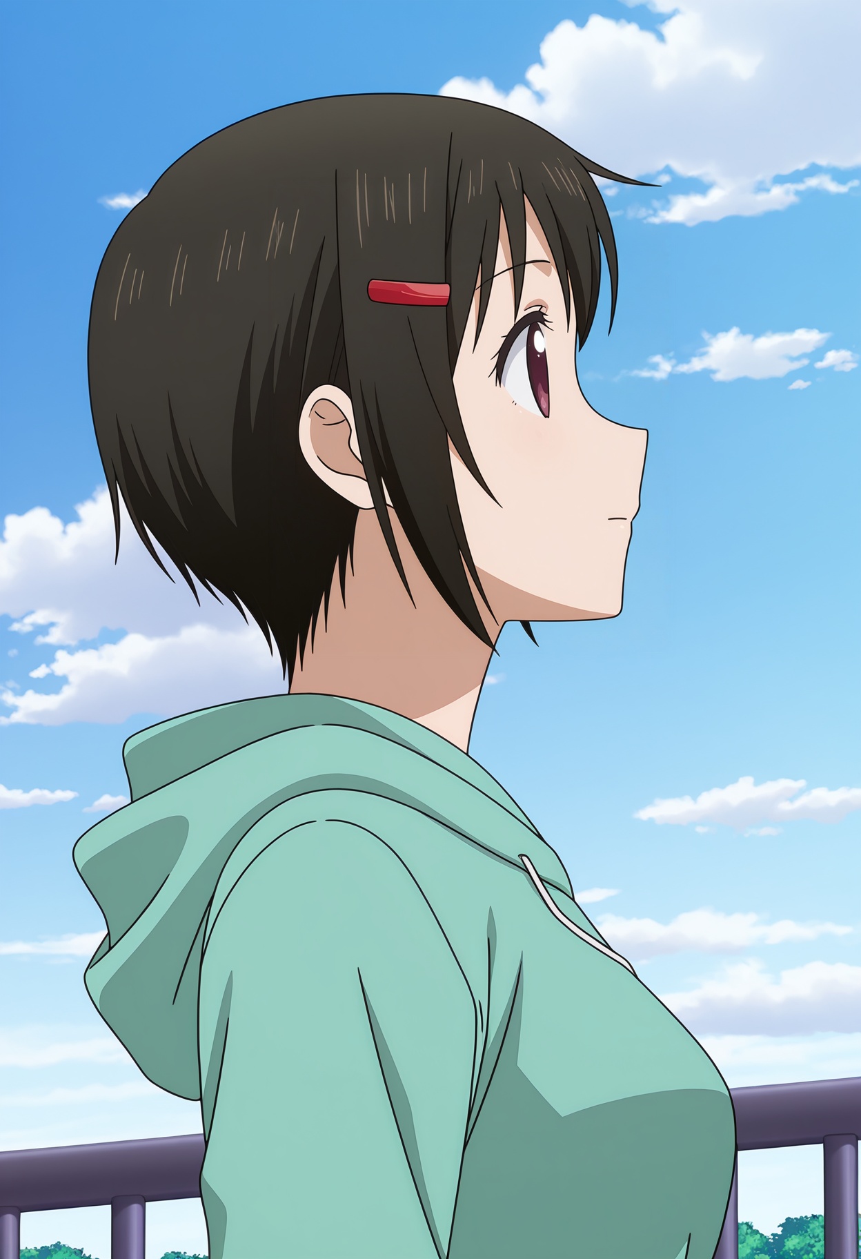 <lora:Nagisa KASHIWAGI_illustrious-000030:1>,Nagisa KASHIWAGI,solo,hair ornament,hairclip,hood,hoodie,sky,outdoors,cloud,day,from side,profile,anime screencap,