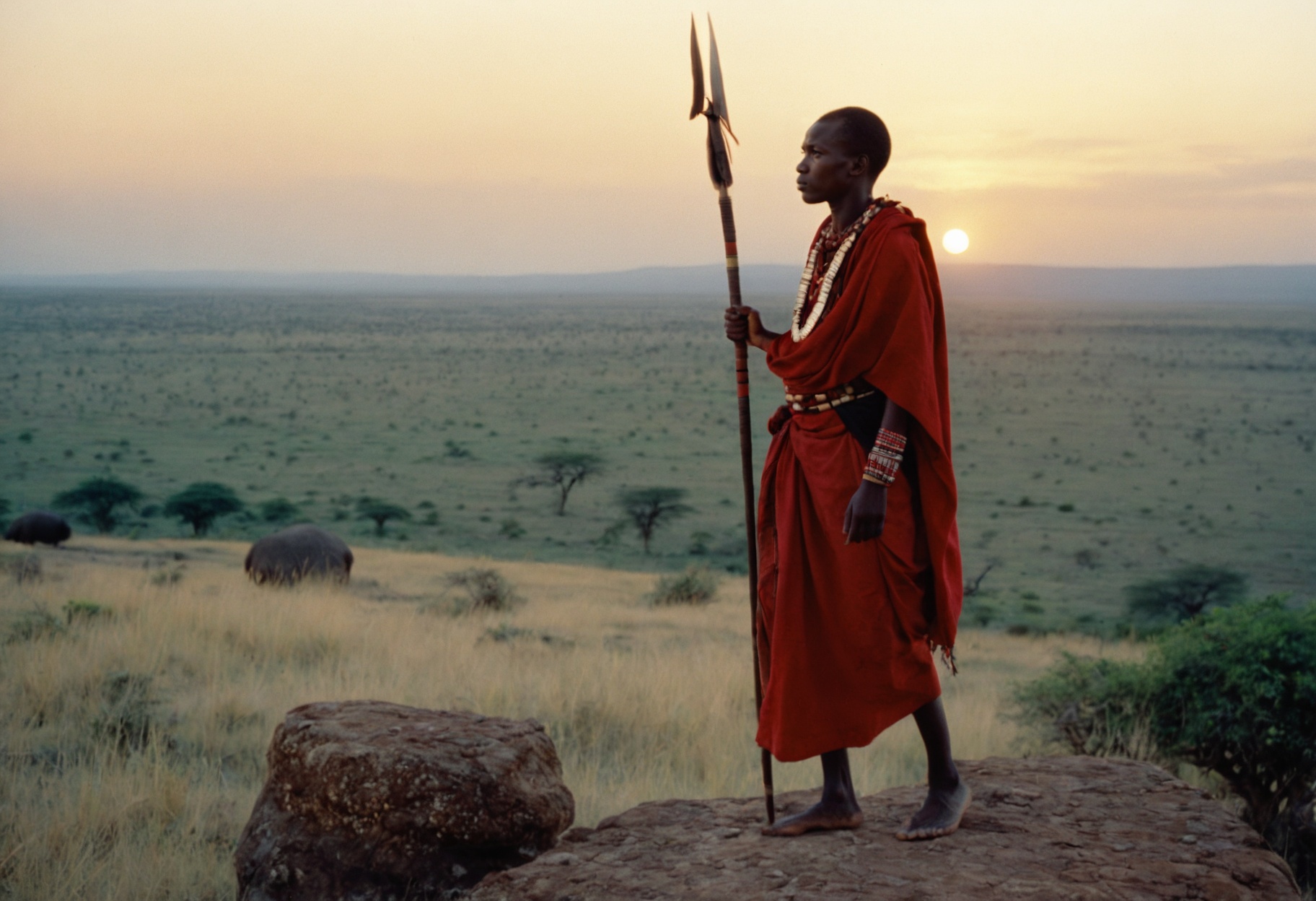 A cinematic photo shot on Cinestill 800T film stock of a young male Maasai warrior standing tall on a rocky outcrop at dus...
