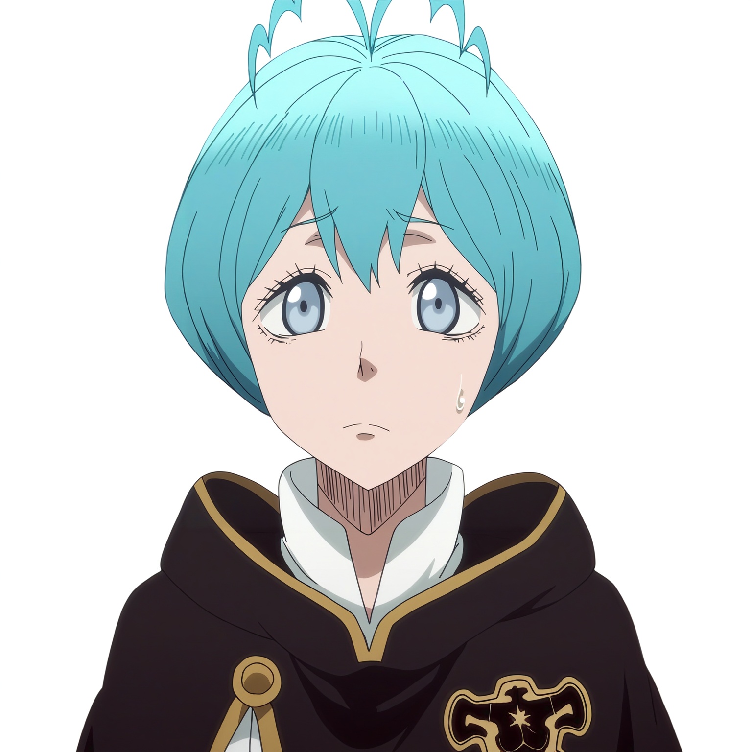 sharp focus,  pixiv masterpiece,  source_anime on Tensor.Art