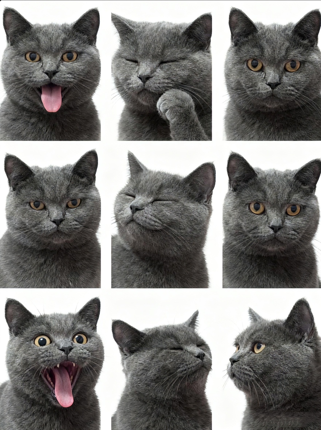 AI generated image on Tensor.Art