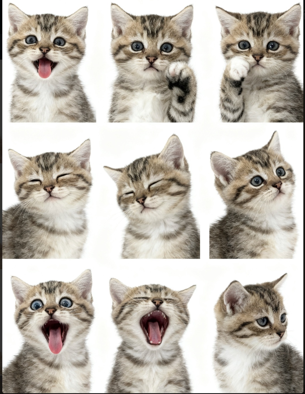 AI generated image on Tensor.Art
