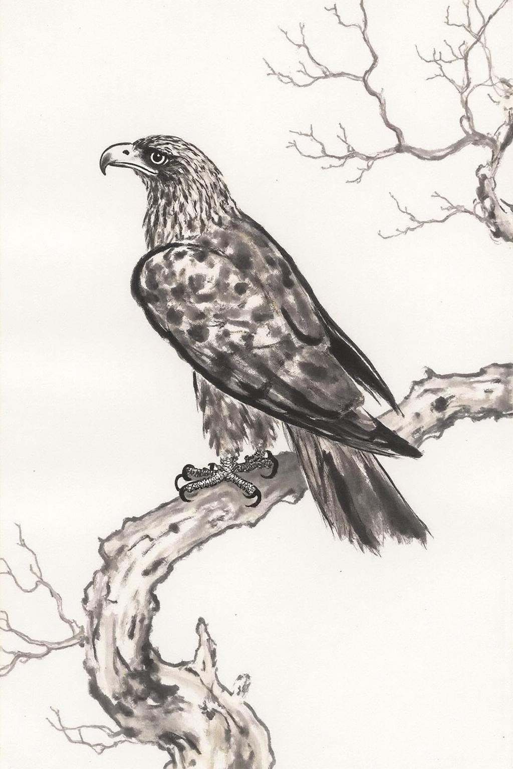 xbh1 ink wash painting.A eagle perched on a tree branch. on Tensor.Art