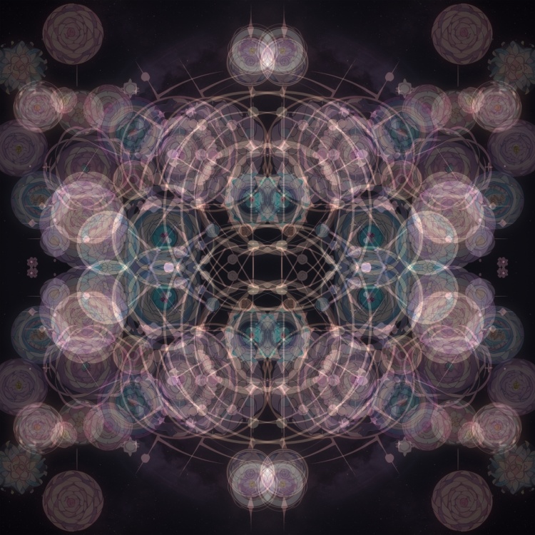 704305526242192391