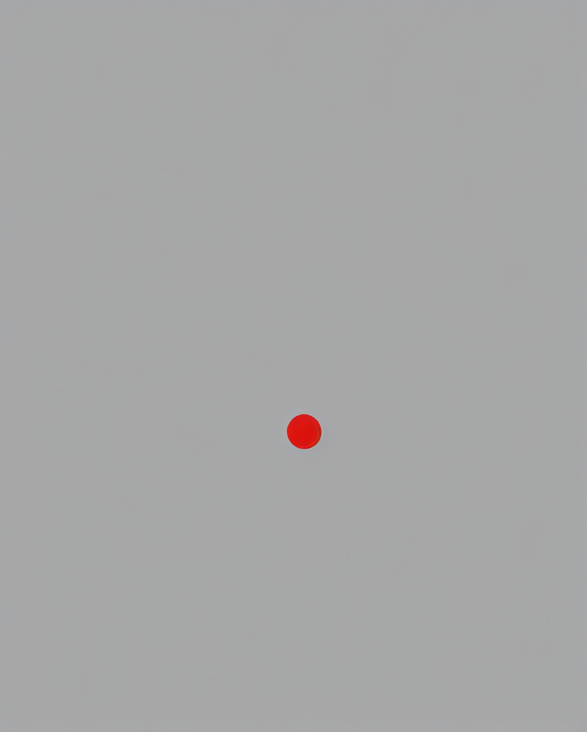 test grey background no object no human on Tensor.Art