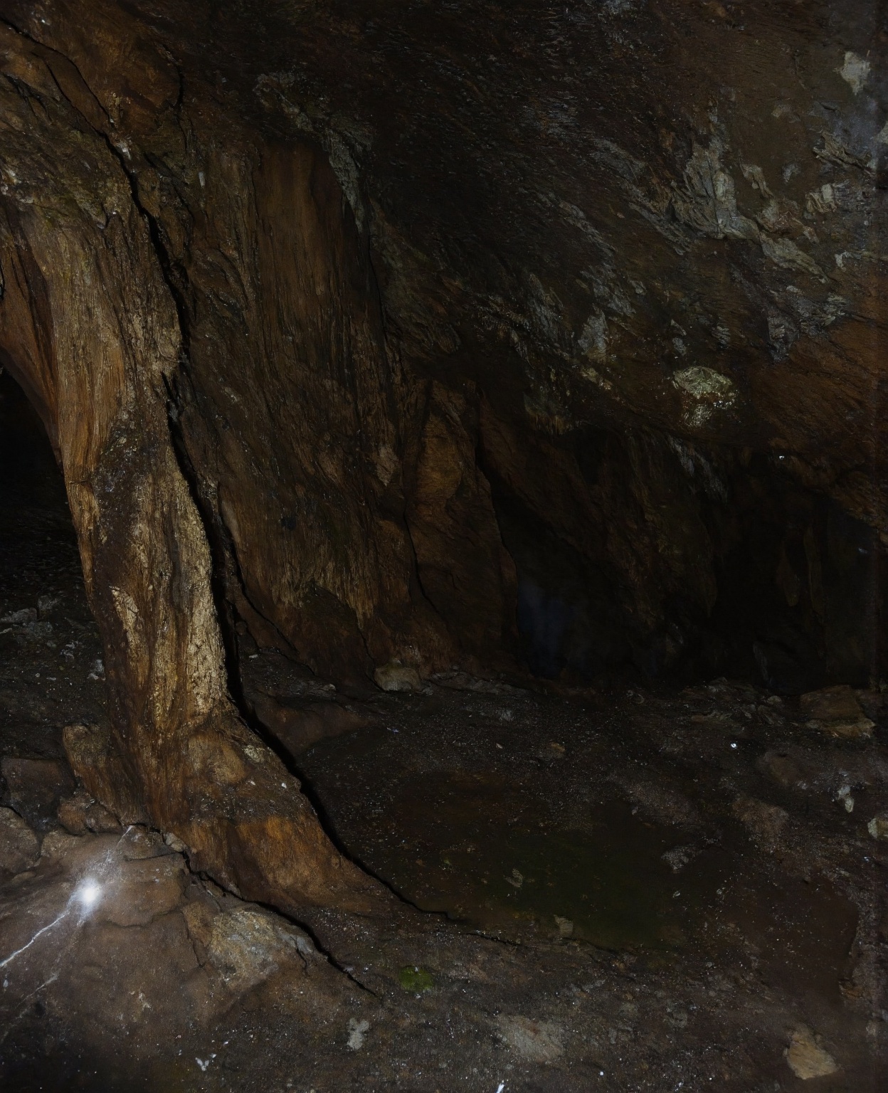 Abandoned Cave: novel style,  renpy,  mystery on Tensor.Art