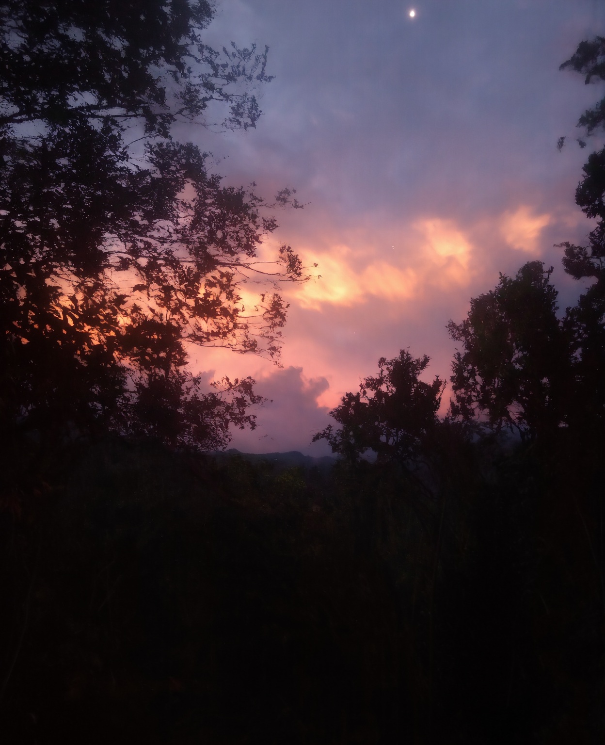 landscape on a strange alien planet,  twin suns,  atmospheric colours on Tensor.Art