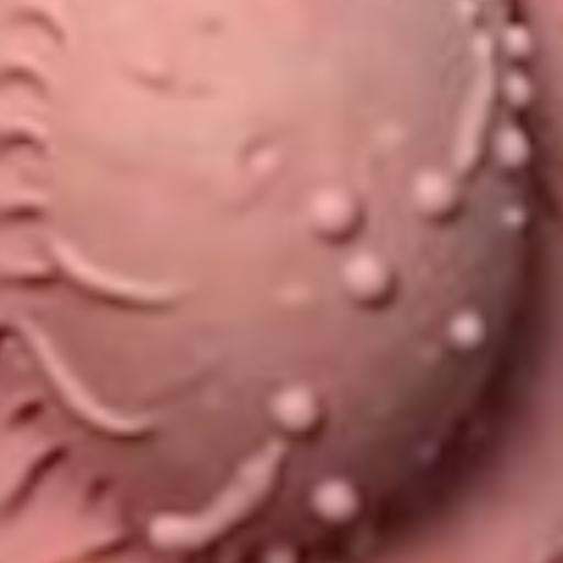 oral,  large breasts,  motion blur on Tensor.Art