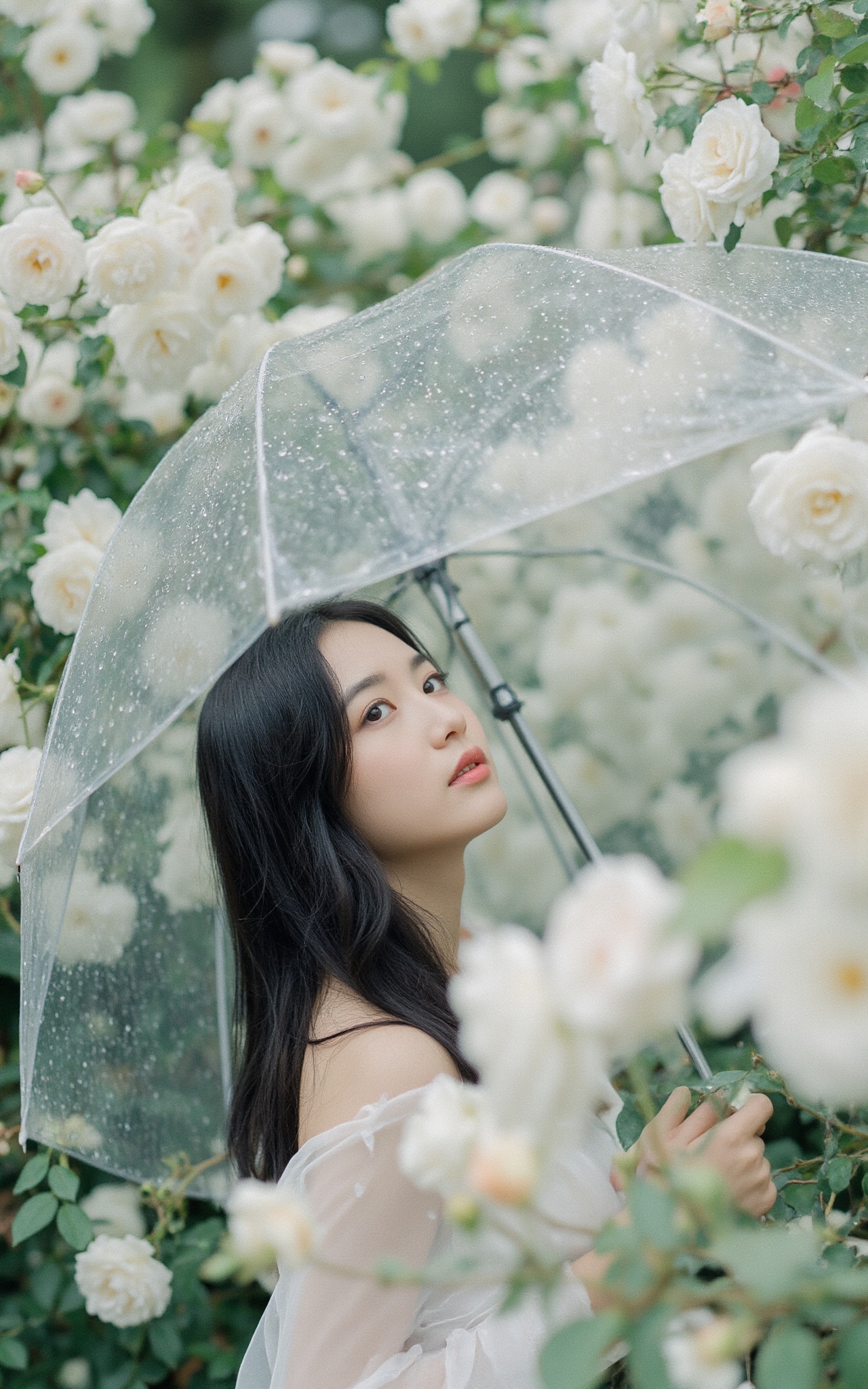 A young woman with long black hair and pale skin stands under a canopy of white roses,  holding a clear umbrella. She gaze...
