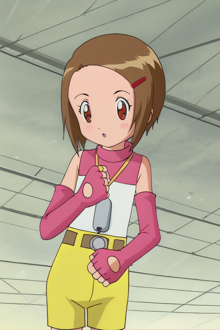 hikari yagami,  brown hair,  brown eyes on Tensor.Art