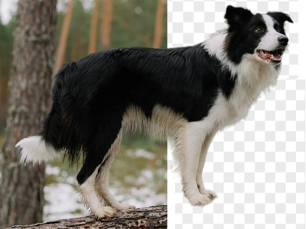 AI generated image