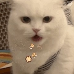 837372997575827667