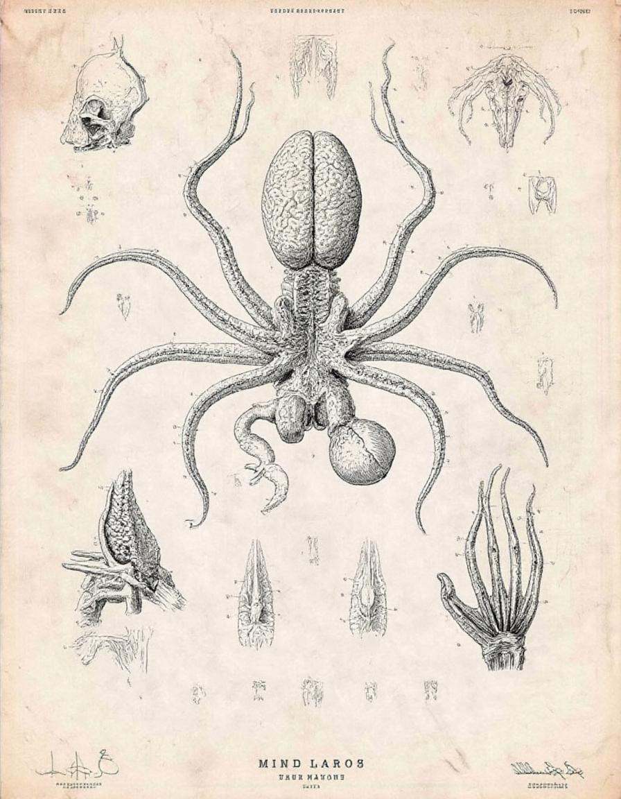 A drawing showing the anatomy of a mind flayer. anatomicus on Tensor.Art