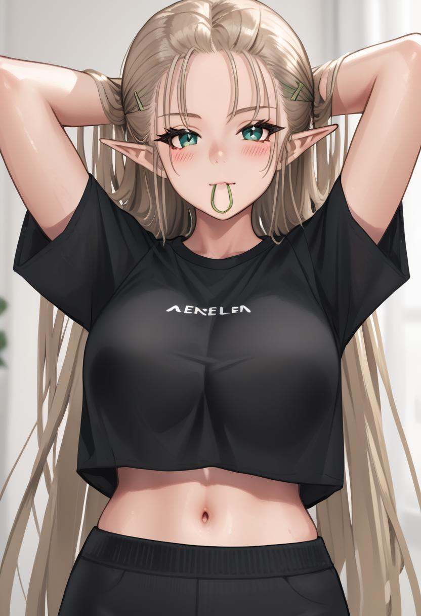 zpdxl3,  hayabusa_IL,  1girl on Tensor.Art