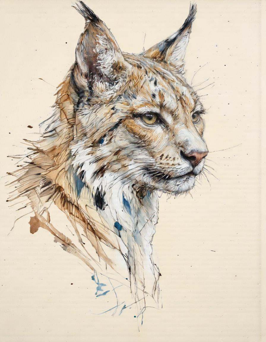 A pencil and charcoal drawing of a lynx's head. The lynx is facing towards the right side of the image,  with its head tur...