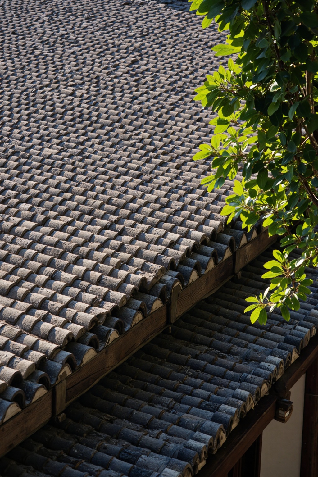 real photo,  shadow The image shows a close-up view of a roof with a distinct pattern of curved overlapping tiles. The til...