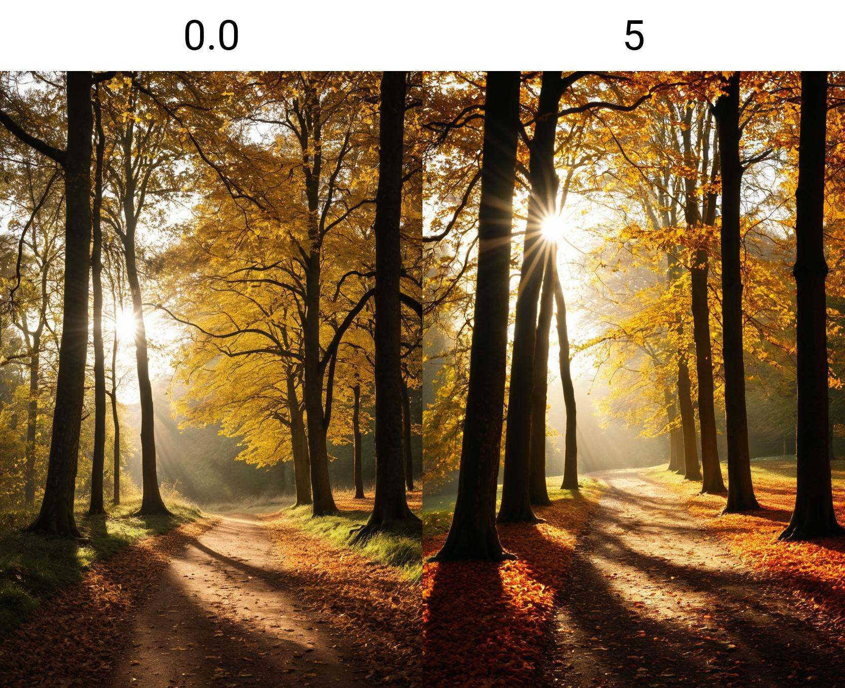 photograph,  a path in the woods with leaves and the sun shining ,  by Julian Allen on Tensor.Art