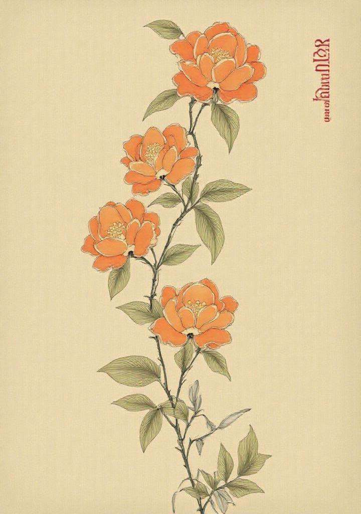 15. **Clivia** – Orange or yellow blooms with strap-like leaves. gongbi,  painting silky lines,  gilded outline edges on T...