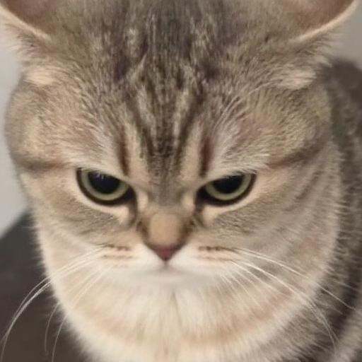 AI generated image on Tensor.Art
