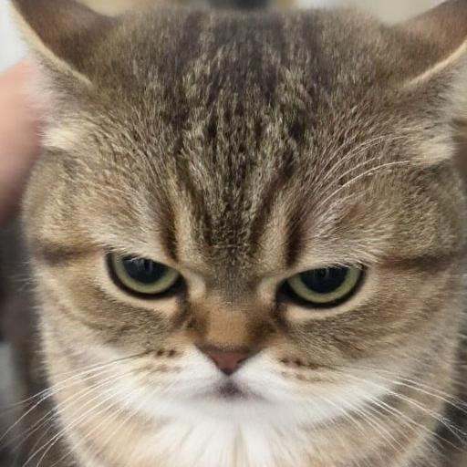 AI generated image on Tensor.Art