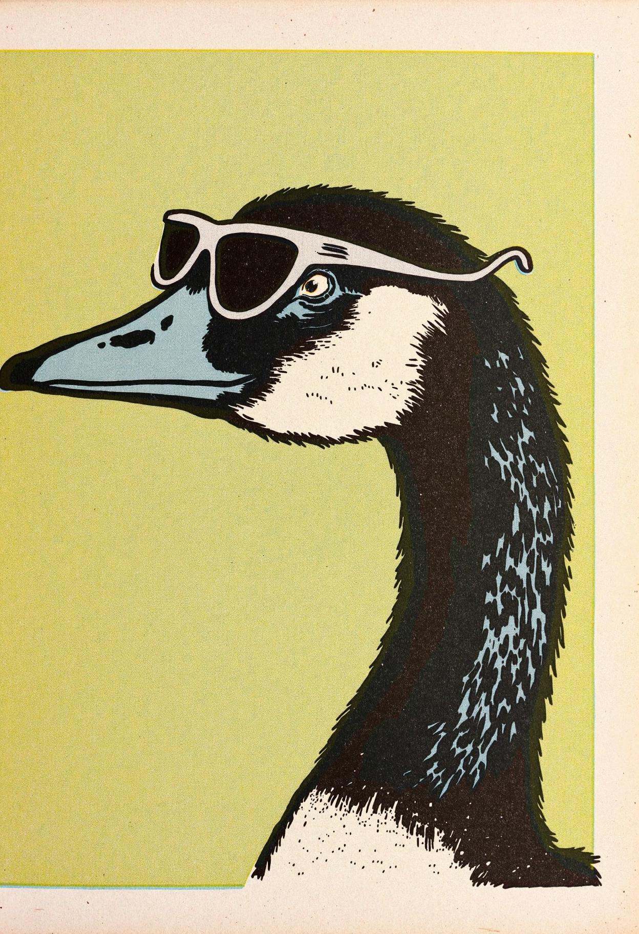 lncln,  goose with sunglasses on Tensor.Art