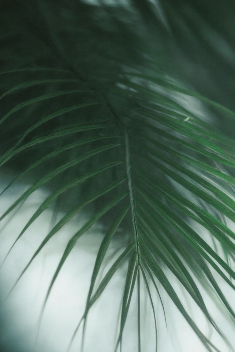 This photograph features a close-up of a single palm leaf captured in a dark moody green hue. The leafs slender elongated...