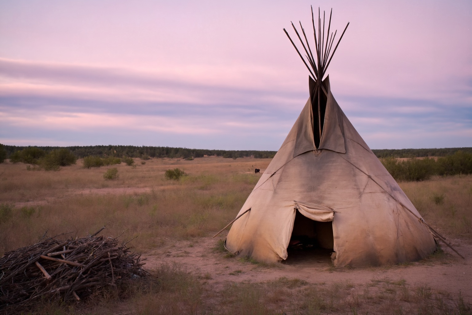 This is a photograph of the exterior of a Native American teepee set in a wide,  open prairie landscape,  captured from an...