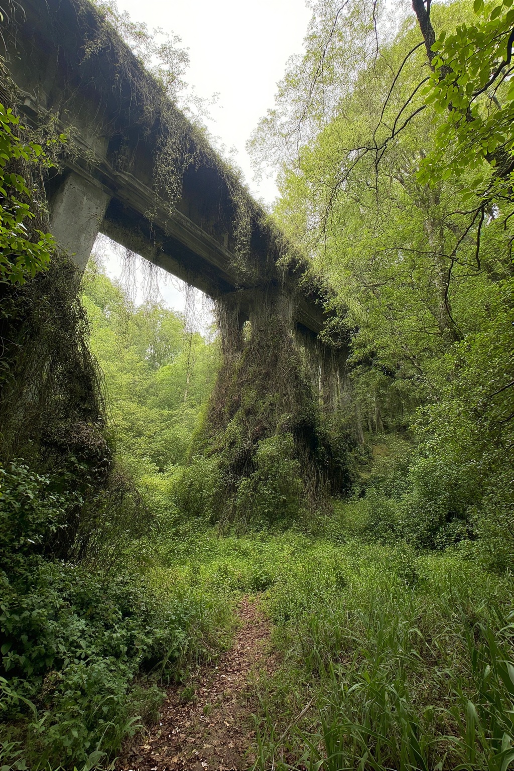 This is a photograph depicting a post-apocalyptic landscape,  but one profoundly altered by the passage of a very long tim...
