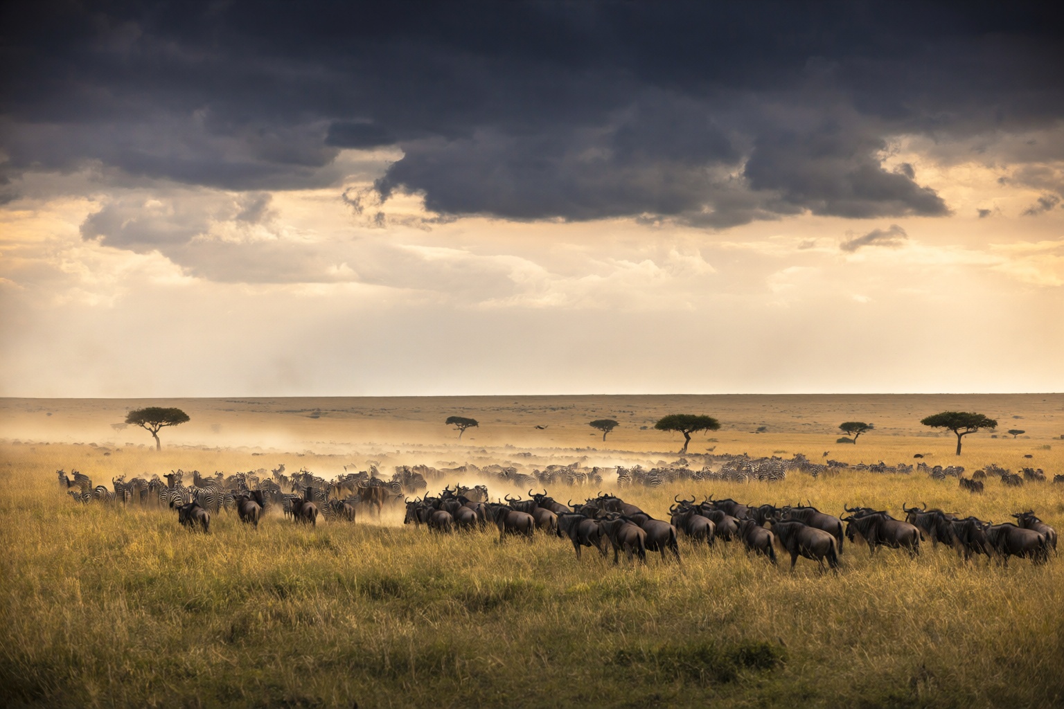 aurelmanea2q photography. A sweeping,  epic landscape shot capturing the vastness of the African savanna,  specifically du...