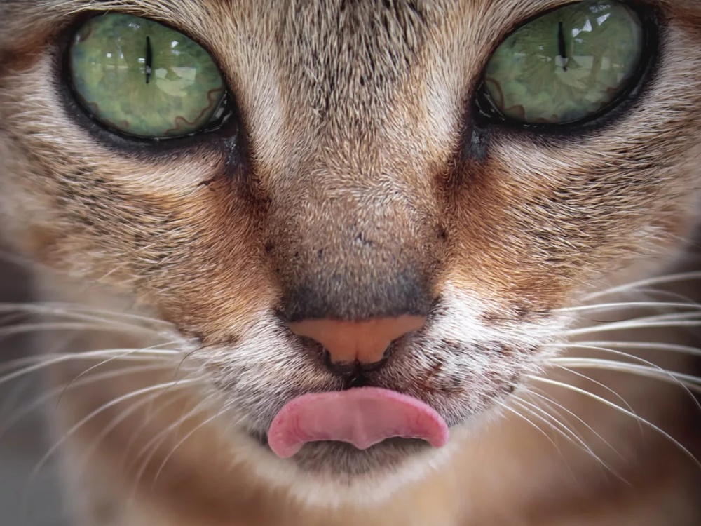 AI generated image