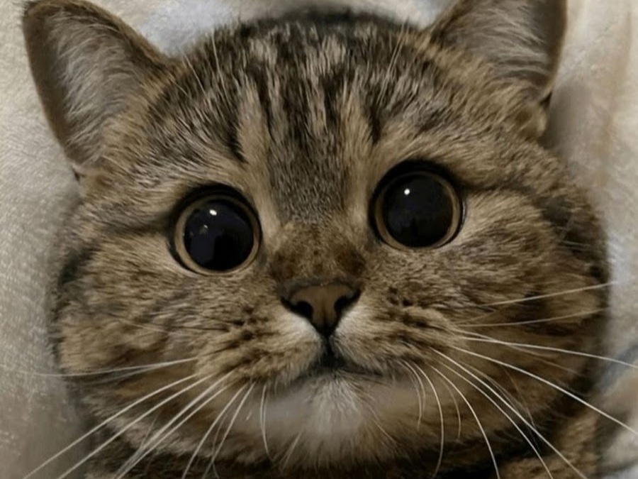 AI generated image