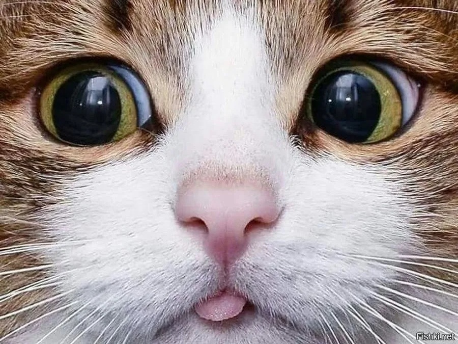 AI generated image