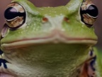 AI generated image